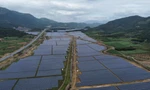 Đề xuất 'cởi trói' cho 9 dự án điện mặt trời ở Khánh Hòa