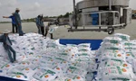 Đề xuất tăng thuế xuất khẩu, nhằm giảm giá phân bón trong nước. ảnh minh họa 