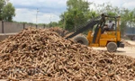 Doanh nghiệp sắn phản ánh chưa được hoàn thuế VAT đến cả nghìn tỷ đồng. Ảnh minh họa