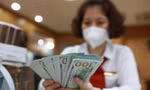 Giá USD tiếp tục lập đỉnh, giá vàng chững lại 