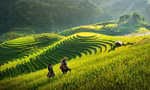 Không còn Tổng cục Du lịch, Thể dục thể thao