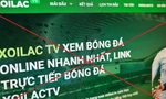 Việt Nam thiệt hại hơn 7.000 tỷ đồng do vi phạm bản quyền