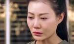 Phim về người làm báo