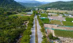 Tin mới về chủ đầu tư 2 nhà máy điện hạt nhân Ninh Thuận
