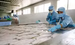 Doanh nghiệp tăng tốc sản xuất đáp ứng đơn hàng xuất khẩu