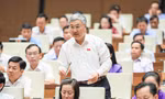 Đại biểu Quốc hội Trần Văn Lâm (Bắc Giang) Ảnh: Như Ý 