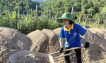 Đi để trưởng thành 