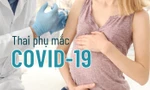 Thai phụ mắc COVID-19 như thế nào sẽ phải can thiệp sản khoa?