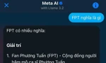 Meta AI có mặt tại Việt Nam: Trợ lý công nghệ "tẻn tẻn", "giải trí" nhiều hơn "giải pháp"