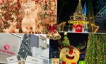 Tọa độ "check-in" Giáng sinh: Phong cách nào cũng có, vừa miễn phí vừa có ảnh mang về