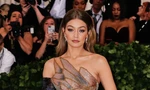 Siêu mẫu Gigi Hadid bị bắt giữ vì tàng trữ chất cấm khi đi du lịch