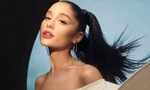 Người hâm mộ bỗng vướng vào vòng lao lý chỉ vì Ariana Grande không ra nhạc?