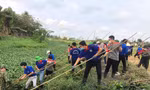 Gần 1.000 sinh viên hưởng ứng chương trình “Ngày Chủ Nhật Xanh”