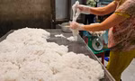 Ngày đặc biệt của làng nghề bún truyền thống xứ Huế