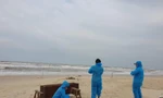 Thi thể phân hủy trôi dạt vào bờ biển TT-Huế