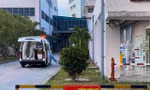 Sau mổ cứu thai nhi, sản phụ mắc COVID-19 đã tử vong