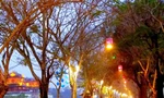 Phố đêm Hoàng thành Huế hoàn tất công tác chuẩn bị nhưng hoãn khai trương vì lý do dịch bệnh. Ảnh: CTV