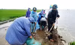 Gần 10.000 đoàn viên thanh niên quân đội TT-Huế tham gia phòng chống, khắc phục hậu quả thiên tai