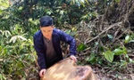 Phá rừng phòng hộ tại TT-Huế: Nhiều đối tượng liên quan khai gì với công an?