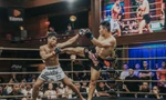 10 cặp đấu hấp dẫn tại giải MMA chuyên nghiệp Thần võ Việt Nam 