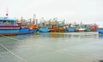 Mùa đánh cá sắp vào vụ nhưng nhiều tàu cá Quảng Trị không thể ra khơi