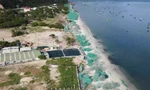 Khánh Hòa yêu cầu xử lý dứt điểm việc gây ô nhiễm tại bãi biển ven vịnh Cam Ranh