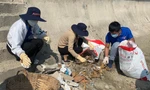 Đoàn viên, thanh niên tỉnh Khánh Hoà tham gia dọn rác thải tại bãi biển Nha Trang