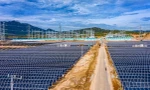Lý do Chủ tịch Trung Nam Group được gỡ lệnh cấm xuất cảnh