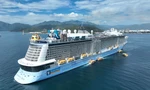 Lý do nhiều tàu du lịch biển quốc tế hủy chuyến đến Nha Trang