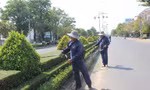 Thêm một tỉnh được yêu cầu cung cấp tài liệu liên quan Cty Cây xanh Công Minh
