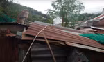 Đàn khỉ khoảng 200 con tràn xuống phá nhà dân