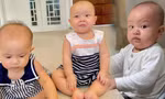 "Mầm non giải trí" mới gọi tên bé Leon nhà Hồ Ngọc Hà, biểu cảm hài hước ai xem cũng cười
