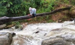 Thót tim cảnh thầy cô vùng cao Quảng Nam bám thân cây vượt suối đến lớp