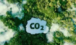 Lộ trình để Việt Nam bán tín chỉ carbon ra thế giới 