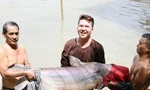 Đàn 'thủy quái' báu vật, mỗi con nặng hơn 100kg chưa từng thấy ở Việt Nam