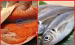 Những bộ phận của cá chứa đầy vi khuẩn, cố tình ăn có thể gây ung thư