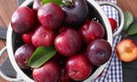 Mận vào mùa ngon khó cưỡng, nhưng những người này nên 'tránh thật xa'
