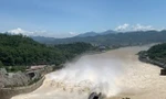 Các công trình thủy lợi tuyệt đối không xả lũ bất thường