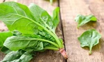 Rau chân vịt ngừa ung thư, cực bổ dưỡng nhưng cũng có thể gây hại đủ đường nếu ăn sai cách