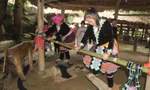 Phụ nữ bản Sin Suối Hồ là vải bằng đá. Ảnh: Cổng thông tin điện tử Lai Châu