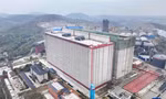 Đề xuất xây 'chung cư' cho... lợn 