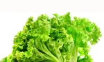 Những người nên tránh xa rau xà lách kẻo ‘rước thêm bệnh vào người’