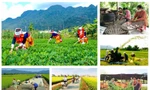 Giao kế hoạch vốn cho các địa phương thực hiện 3 chương trình mục tiêu quốc gia. Ảnh minh hoạ