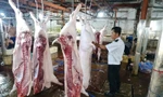Lộ sai phạm kiểm soát tại lò mổ heo cho Công ty C.P Việt Nam