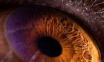 Ngắm nhìn vẻ đẹp kỳ lạ độc đáo trong đôi mắt của muôn thú