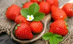 Dâu tây vào mùa, ngon khó cưỡng, lại mang đến nhiều lợi ích bất ngờ cho sức khỏe