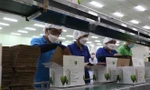 Miễn, giảm thuế theo gói phục hồi kinh tế sẽ góp phần hỗ trợ doanh nghiệp phát triển. Ảnh: TTXVN.