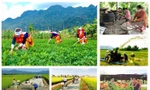 Cơ bản hoàn thành các nhiệm vụ về Chương trình MTQG DTTS của cấp trung ương
