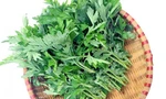 Tác dụng phụ đáng sợ của rau ngải cứu, biết mà tránh kẻo 'hại đủ đường'