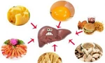 Những thực phẩm là chất ‘kịch độc’, không muốn gan hỏng sớm thì nên tránh xa
